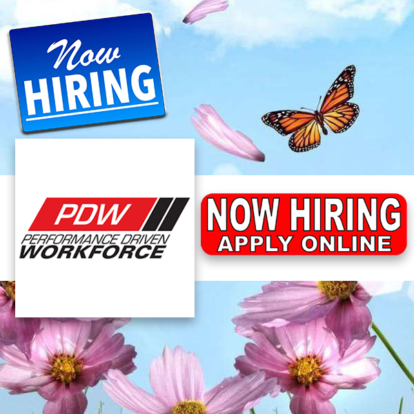 Performance Driven Workforce hiring